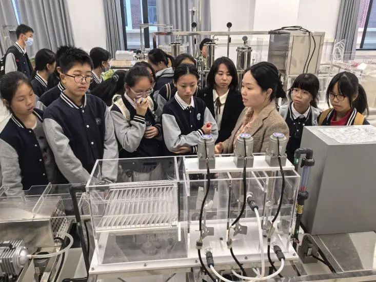 image-20250311113148-8